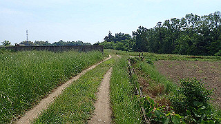 p5261422_thumb.jpg