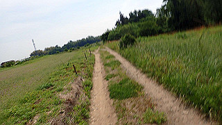 p5261423_thumb.jpg