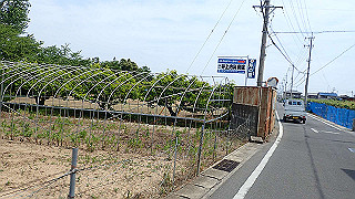 p5261426_thumb.jpg