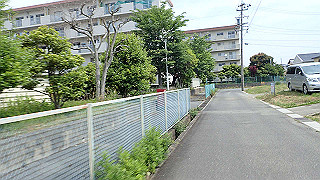 p5261429_thumb.jpg