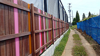 p5261431_thumb.jpg