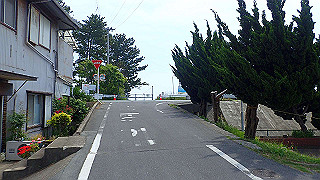 p5261449_thumb.jpg