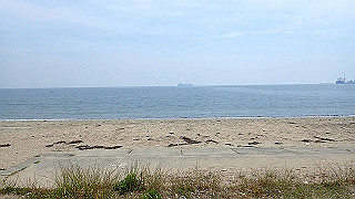 p5261452_thumb.jpg