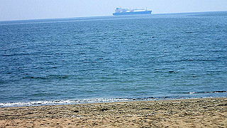 p5261454_thumb.jpg
