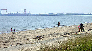 p5261455_thumb.jpg