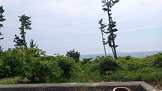 p5261456_thumb.jpg