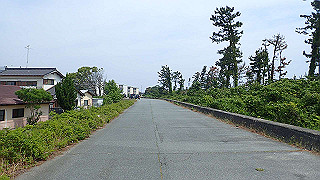 p5261457_thumb.jpg