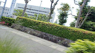 p5261475_thumb.jpg