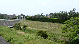 p5261496_thumb.jpg