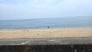 p5261501_thumb.jpg