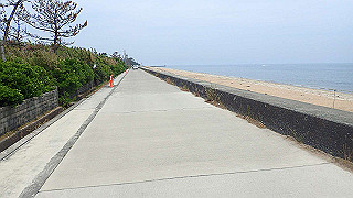 p5261502_thumb.jpg