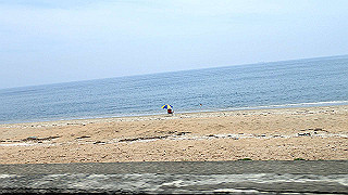 p5261503_thumb.jpg