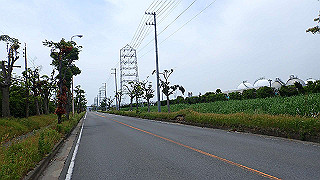 p5261517_thumb.jpg
