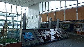 p5261536_thumb.jpg