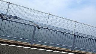 p5261555_thumb.jpg