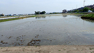 p5261580_thumb.jpg