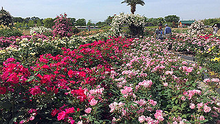img_4472_thumb.jpg