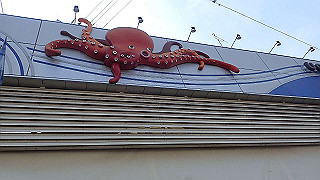 p6011396_thumb.jpg