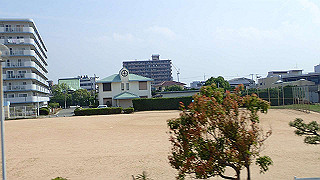 p6011407_thumb.jpg