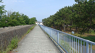 p6011408_thumb.jpg