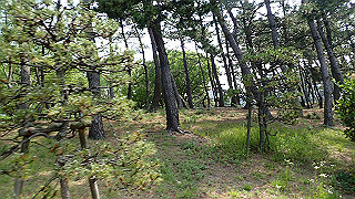 p6011410_thumb.jpg