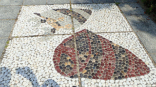 p6011424_thumb.jpg