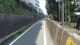 p6011435_thumb.jpg