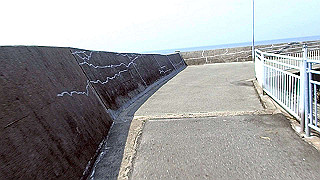 p6011446.mov_thumb.jpg