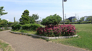 p6011452_thumb.jpg