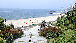 p6011454_thumb.jpg