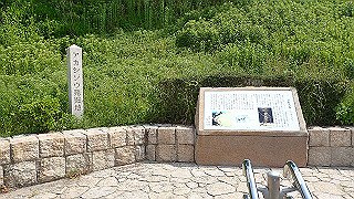 p6011455_thumb.jpg