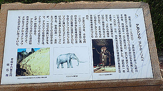 p6011456_thumb.jpg