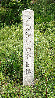 p6011457_thumb.jpg