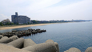 p6011472_thumb.jpg