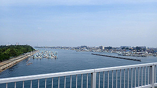 p6011477_thumb.jpg