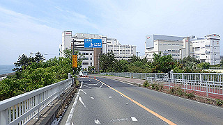 p6011478_thumb.jpg