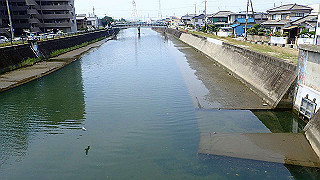 p6011491_thumb.jpg