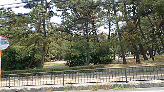 p6011495_thumb.jpg