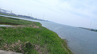 p6011499_thumb.jpg