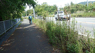 p6011523_thumb.jpg
