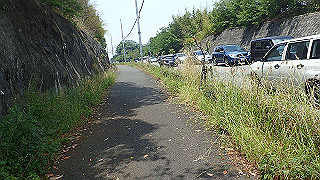 p6011524_thumb.jpg