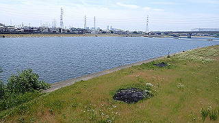 p6011537_thumb.jpg
