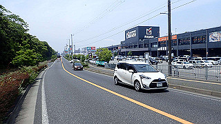 p6011552_thumb.jpg