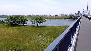 p6011559_thumb.jpg