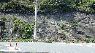 p6011572_thumb.jpg