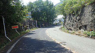 p6011574_thumb.jpg