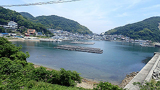 p6011576_thumb.jpg
