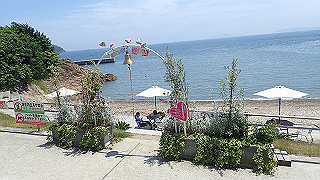 p6011583_thumb.jpg