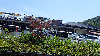 p6011586_thumb.jpg