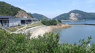 p6011590_thumb.jpg